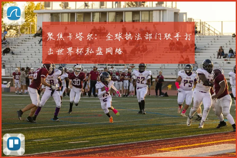 聚焦卡塔尔：全球执法部门联手打击世界杯私盘网络